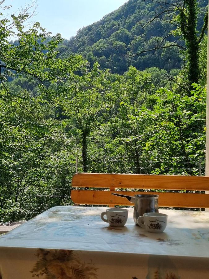 Luxusní stan Glamping House ˇvitaˇ Tolmin